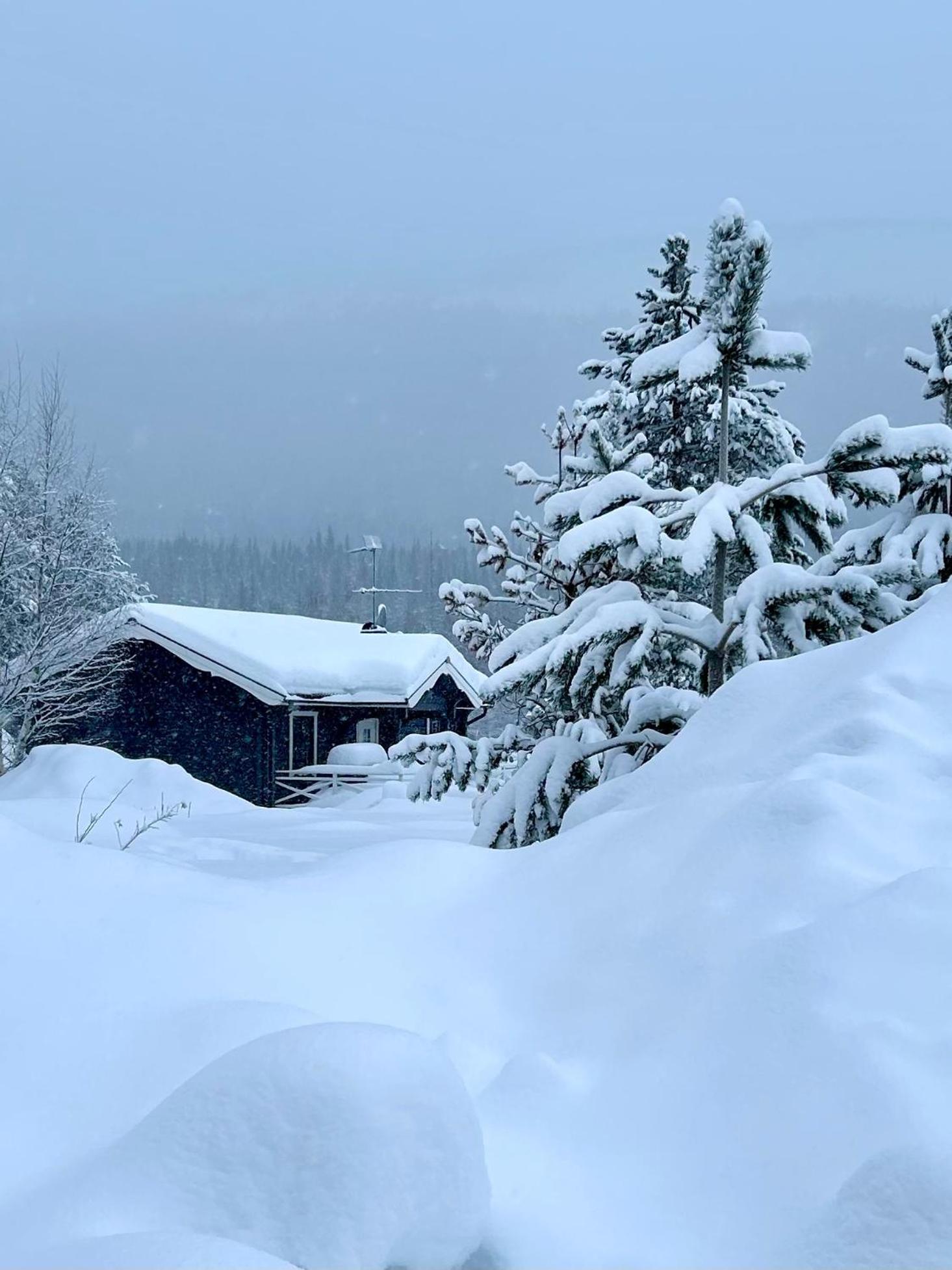 Nymon Mountain Lodge 스토튼 외부 사진